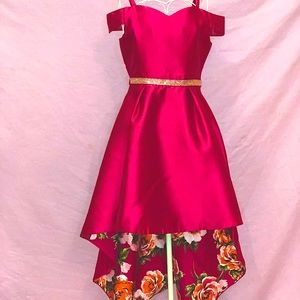 Magenta High-Low Spring Dress by Rare Editions